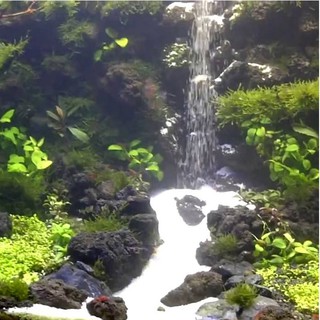 1 kg cát siêu trắng lót nền thủy sinh