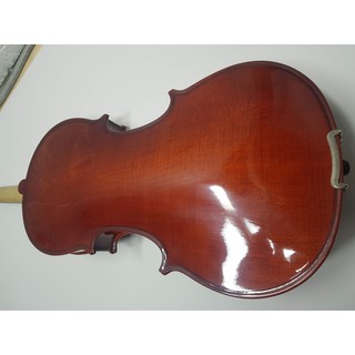 Đàn violin lavocado en rose fn