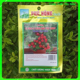 Hạt Giống Cà Chua Bi Trồng Chậu Tiny Heart Phú Nông - Gói 0.1g - Tomato Tiny Heart