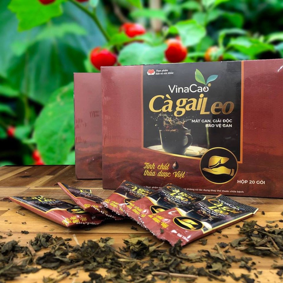 Cao cà gai leo Vinacao giúp mát gan, giải độc, bảo vệ gan hộp 20 gói