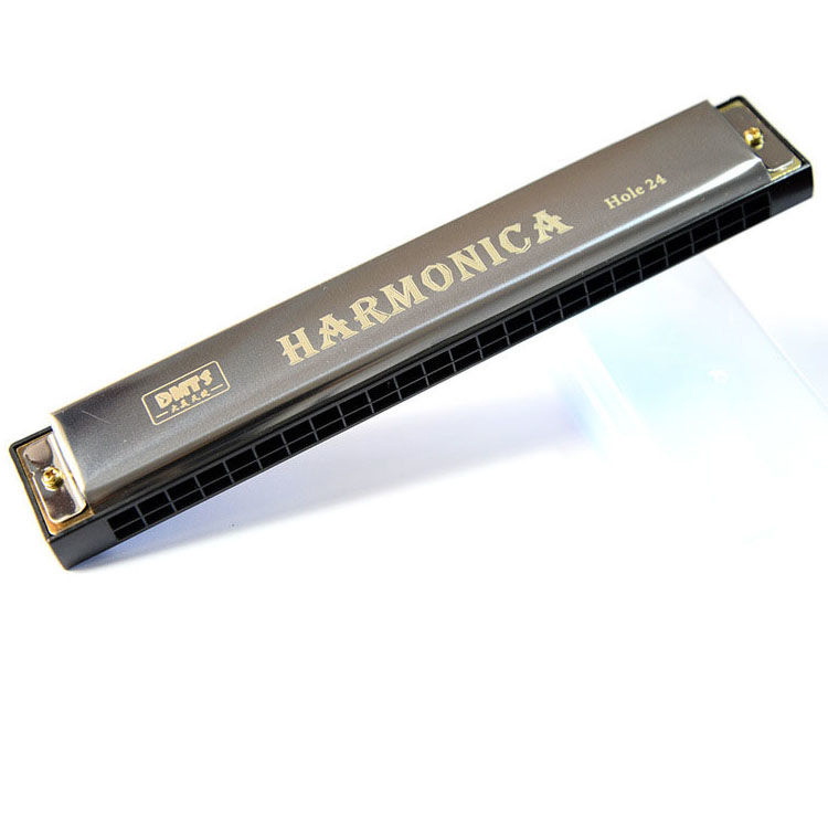 Kèn Harmonica 24 Lỗ Cho Người Mới Bắt Đầu Học