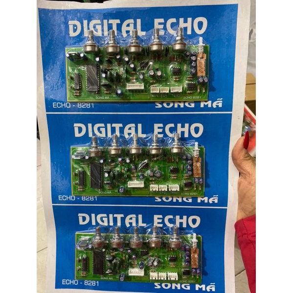 Mạch vang Echo Song Mã 8281