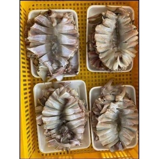 GIAO SIÊU TỐC -CÁ ĐUỐI 1 NẮNG SIÊU NGON