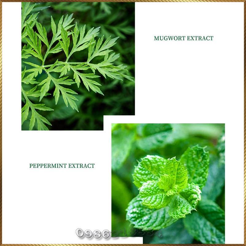 Mặt nạ cây ngải cứu tươi Baizton Niacinome Wormwood Fresh Extract Mask kiểm soát dầu ngừa mụn trứng cá BWM9