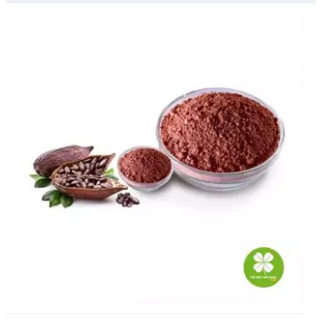 Bột cacao nguyên chất DakLak (lọ 500gram) - LCS143