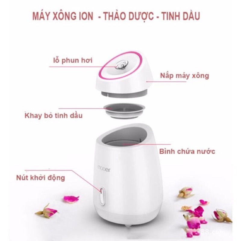 Máy Xông Mặt, Máy Xông Hơi Mặt Magic Xông Đa Năng Các Loại Tinh Dầu Hoa Quả Thảo Dược - ĐT Linh Quy