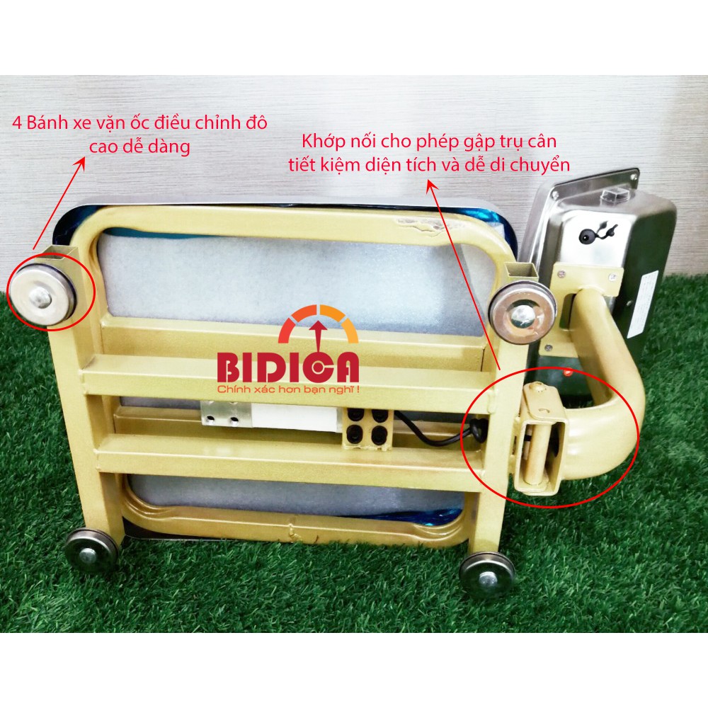 Cân bàn điện tử 60kg tính tiền - Bán hàng tại các chợ đầu mối nông sản, siêu thị