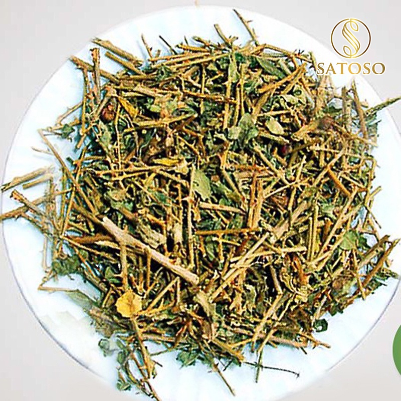 Cà gai leo khô SATASO 1kg thượng hạng giúp hạ men gan SA15