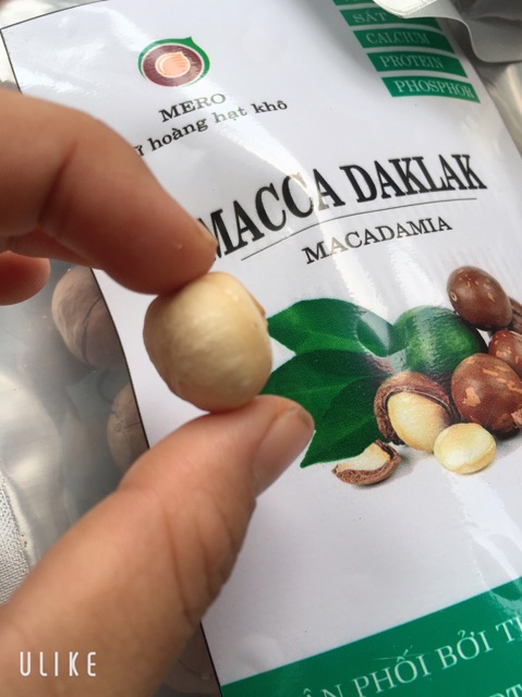 500GRAM HẠT MACCA DAKLAK SẤY NỨT VỎ | BigBuy360 - bigbuy360.vn