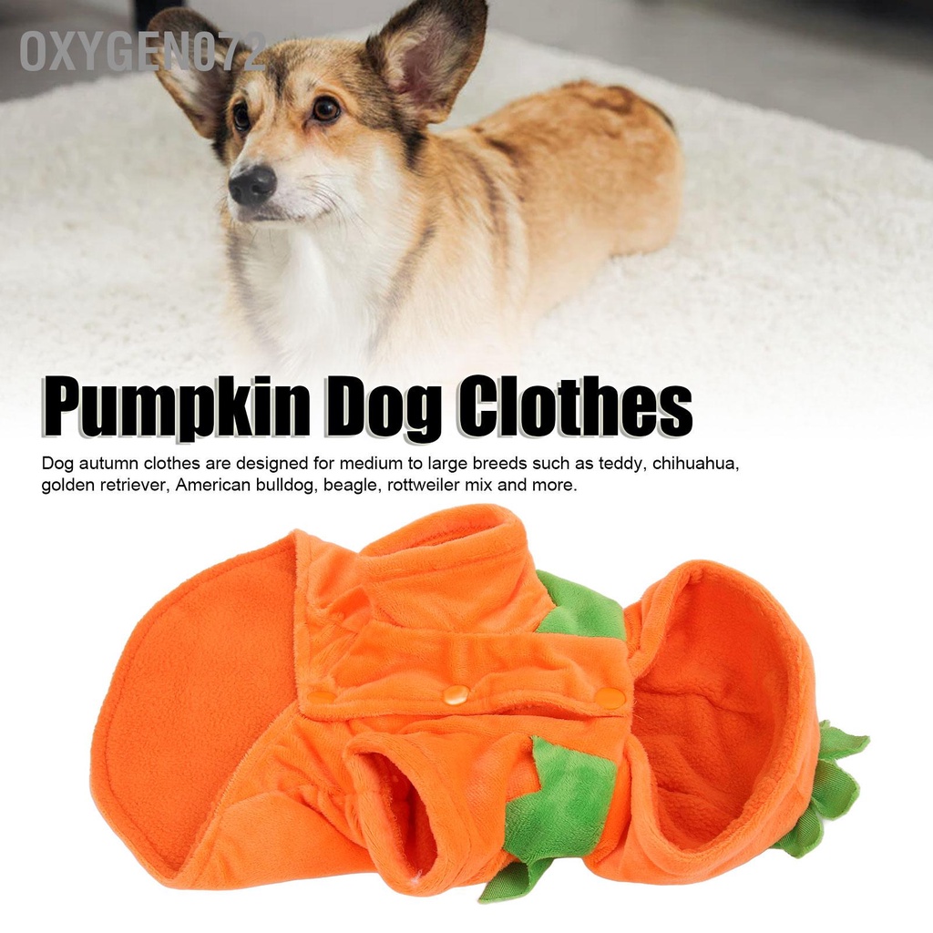 Oxygen072 Halloween Bí ngô cho chó Quần áo Dễ thương Ấm áp Trang phục Chó Lớn Trung bình Mùa Thu Đông