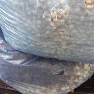củ nén- hành tăm 500 gr