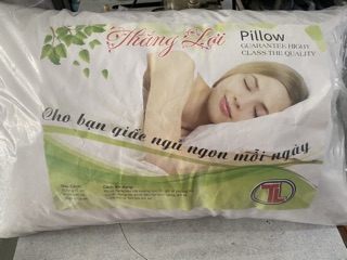 Gối Gòn ép hơi 40x60cm