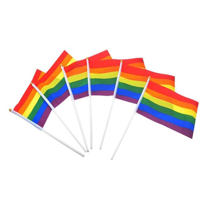 CỜ LGBT Lục Sắc CẦM TAY 5 CÁI (19*14 CM)