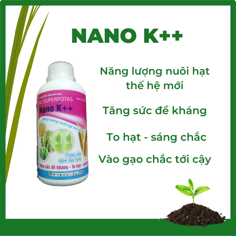 NANO K++ tăng sức đề kháng, to hạt, chắc tới cậy