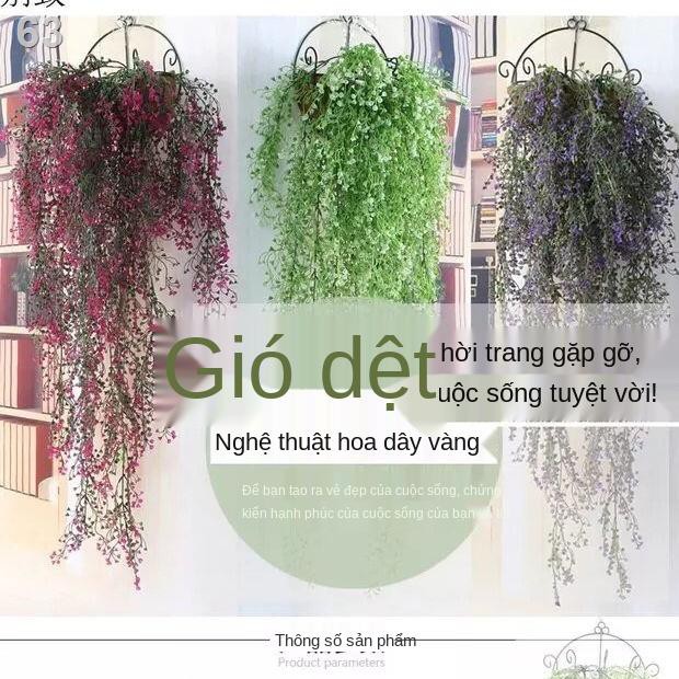 Tường giả liễu Admiralty treo nhựa hoa giỏ biển dianthus Mây dây thanh nhà hàng trang trí nội thất máyL