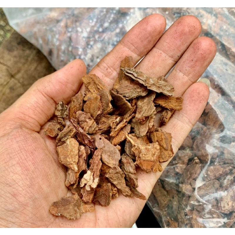 1Kg Vỏ Thông  Trồng Lan &Kiểng Lá