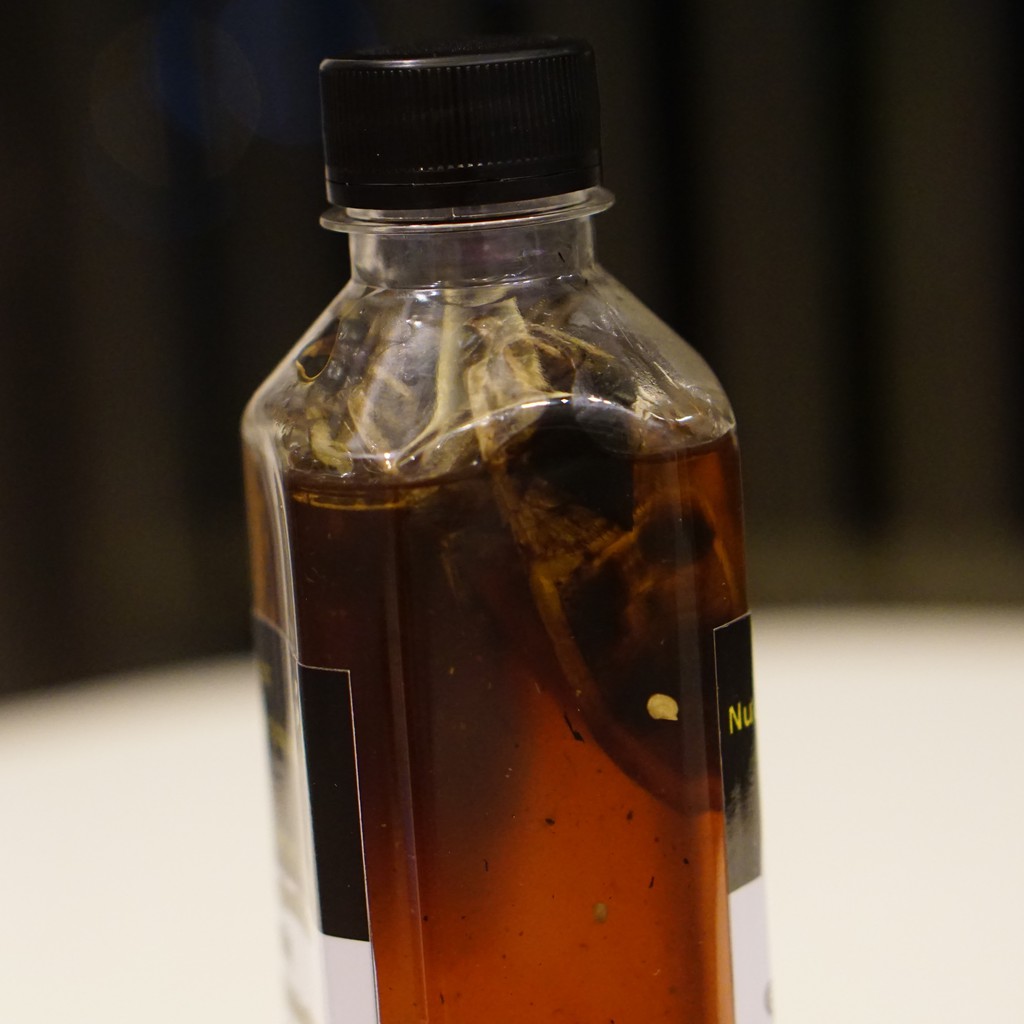 [GIAO NHANH 1H] COMBO 2 CHAI NƯỚC MẮM CÀ CUỐNG CẬU BỐNG - HOMEMADE TRUYỀN THỐNG | BigBuy360 - bigbuy360.vn