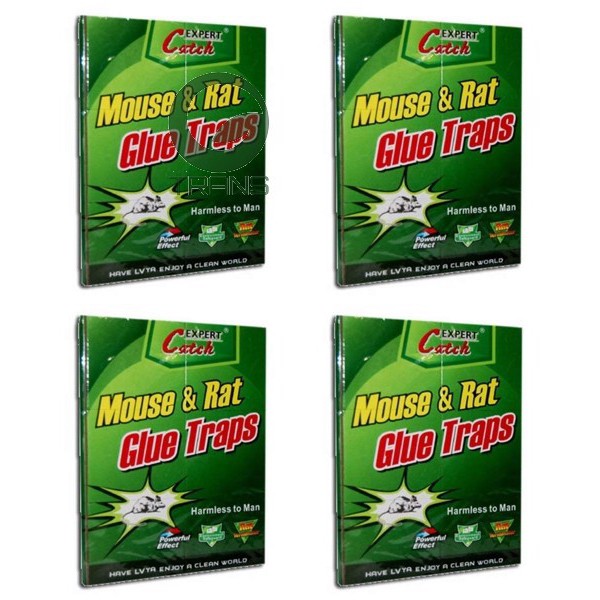 Combo 10 Tấm Dính Chuột Đa Năng Siêu Dính