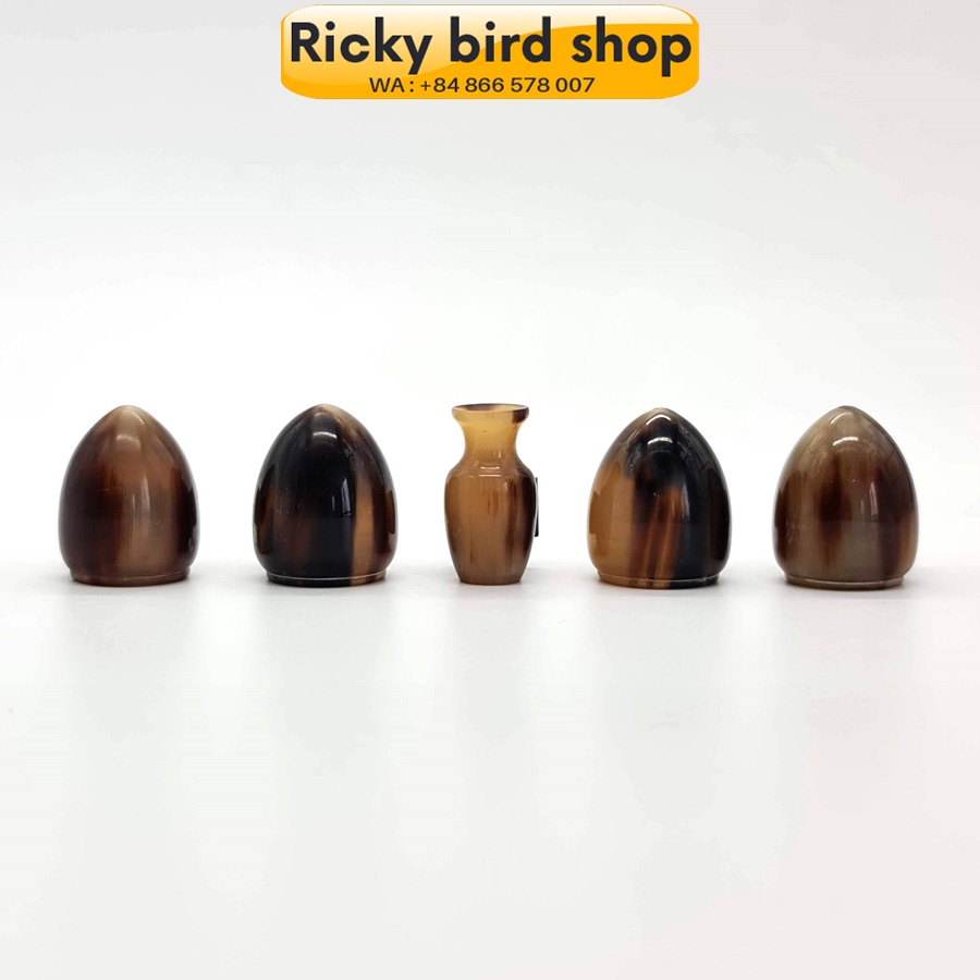 Chén cho chim Mata Puteh - Cow horn cup