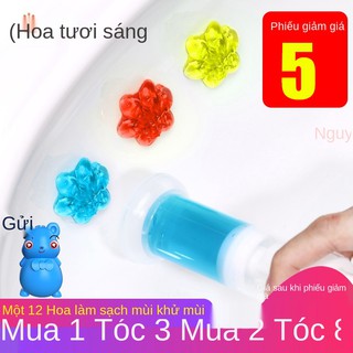 Xịt khử mùi và khử mùi nhà vệ sinh Nhật Bản gel xịt toilet hương hoa nước hoa tạo tác dụng cụ vệ sinh
