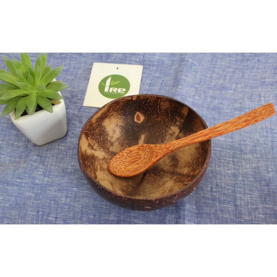 Bát gáo dừa bến tre loại đẹp đa dụng