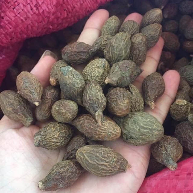 🍁🍀HẠT ƯƠI BAY RỪNG 1 ký 🍀🍁