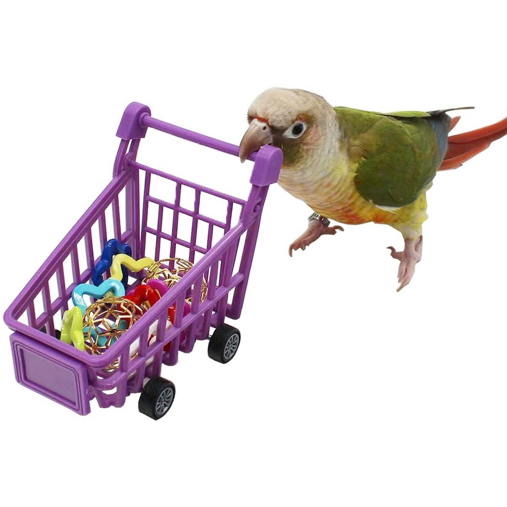 Bộ Đồ Chơi Bóng Nhai Bằng Nhựa Vui Nhộn Cho Chim Cảnh