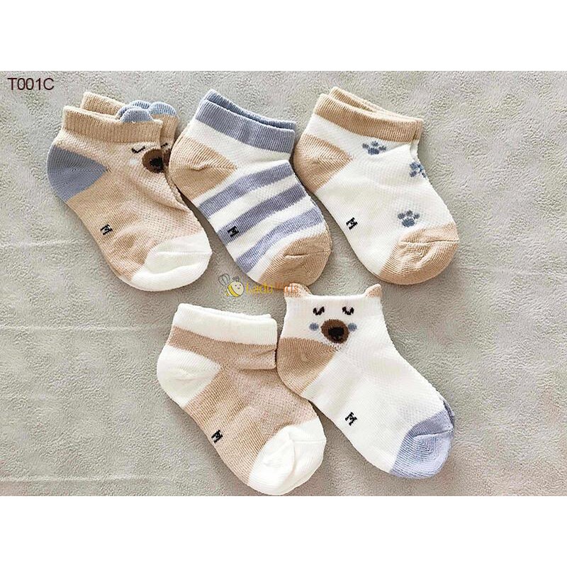 Túi 5 đôi tất lưới cổ ngắn kid sock Robibaby cho bé sơ sinh