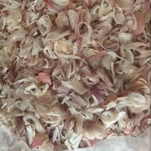 1kg hành tím sấy khô (hành 100%)