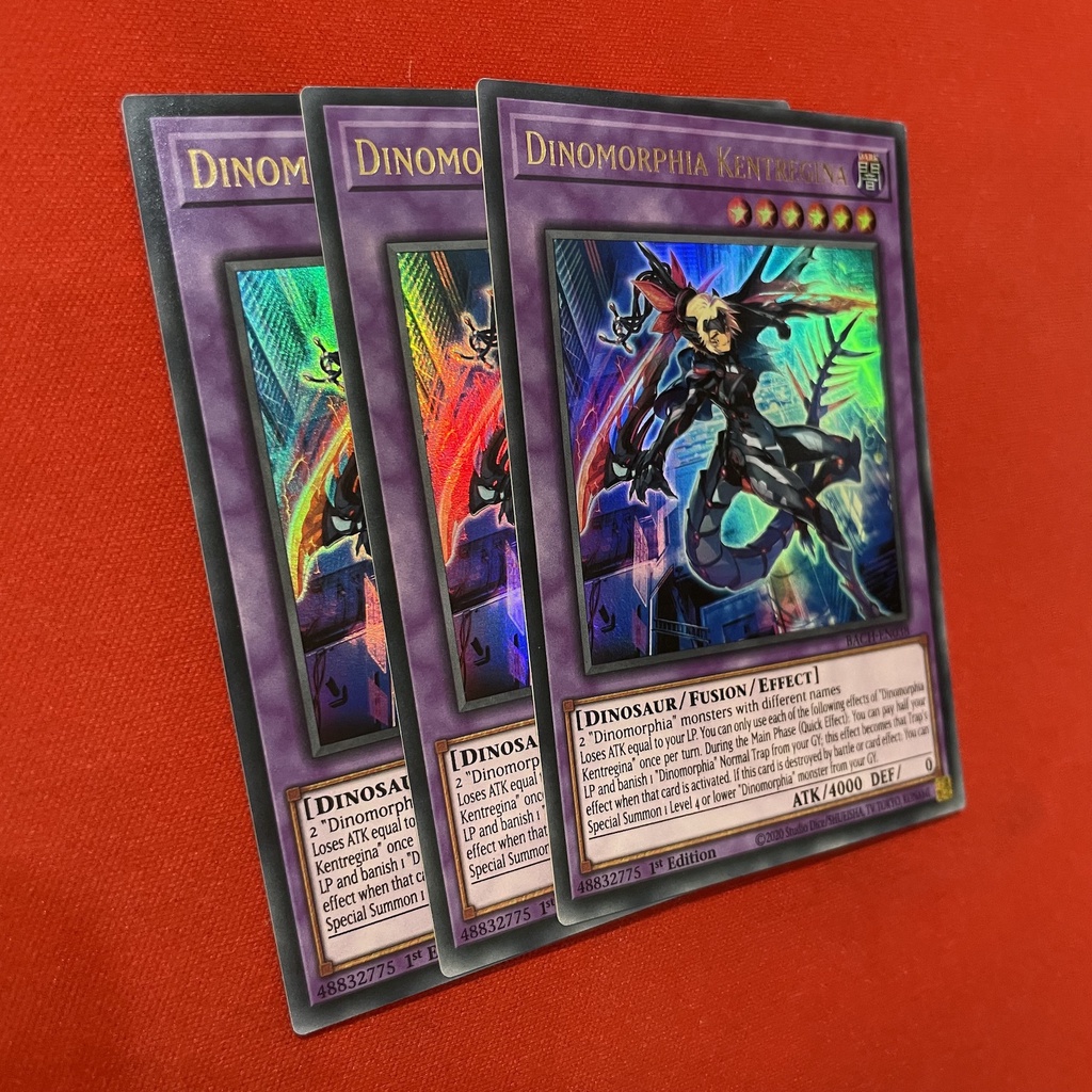 Dinomorphia Kentregina