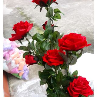 Cụm hoa hồng nhung hoa lụa hoa giả 58cm 5 bông 2 nụ