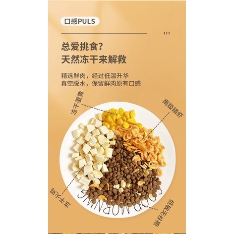 Thức ăn cho mèo Adventure Hạt cho mèo với 5 loại thịt sấy khô NourseVietnam AD02