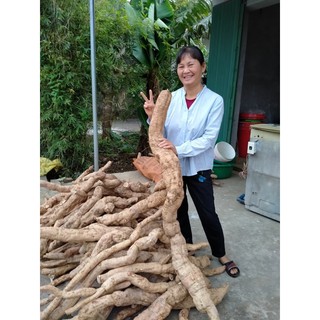 BỘT SẮN DÂY 1kg NGUYÊN CHẤT 100%(Tiết kiệm 10.000)