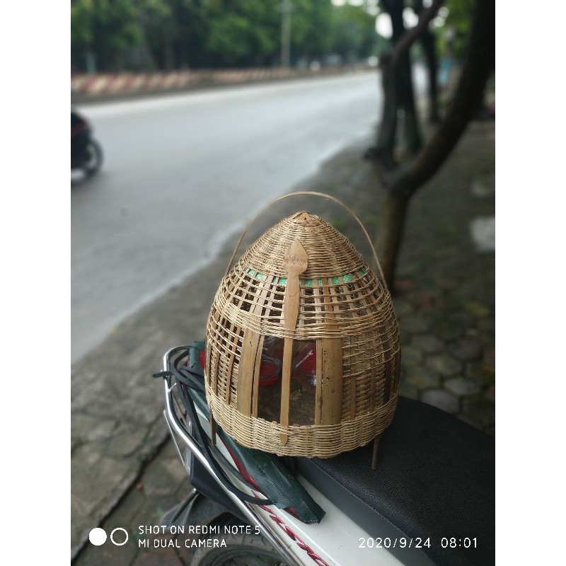 lồng đa đa