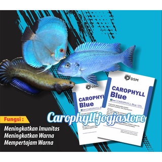 Hỗn hợp 5 gram màu xanh dương carophyll dành cho cá