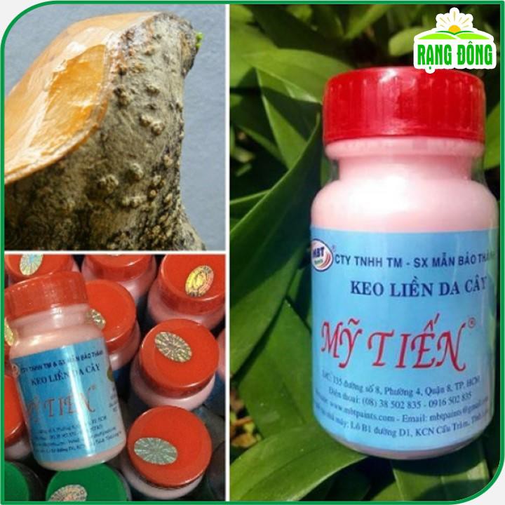 Keo liền da Mỹ Tiến giúp phục hồi vết thương, vết cắt trên cây trồng (hũ 100 gr) - Hạt giống Rạng Đông