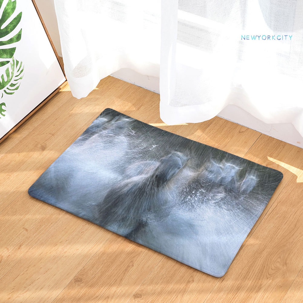 Thảm lót cửa chùi chân Chống Trượt Thấm Hút Nước Tốt