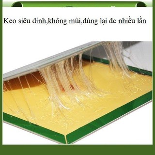 Tấm dính chuột siêu chặt 34x22cm