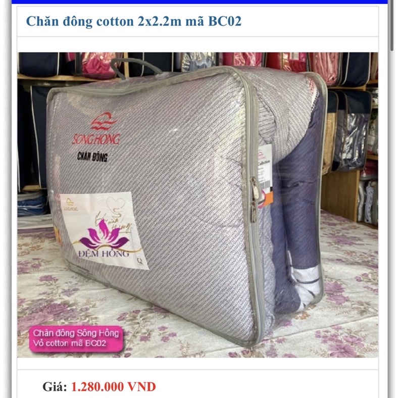 Chăn đông sông Hồng bông tinh khiết siêu chống khuẩn hàng chuẩn công ty sông hồng