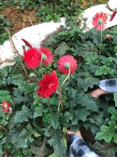 Đồng tiền cổ