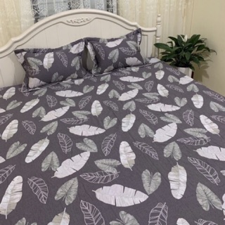 Ga gối 100% cotton Hàn quốc siêu mềm mịn