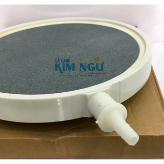 Đĩa Sủi Đường Kính 26 cm (Bọc Nhựa) - Sủi Khí Oxy Hồ Cá