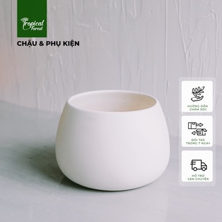 Chậu gốm trồng cây hạt dẻ TROPICAL FOREST