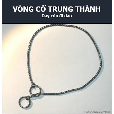 Dây xích kỷ luật, huấn luyện chó dạng bụng rắn, Vòng cổ trung thành | BossHouse