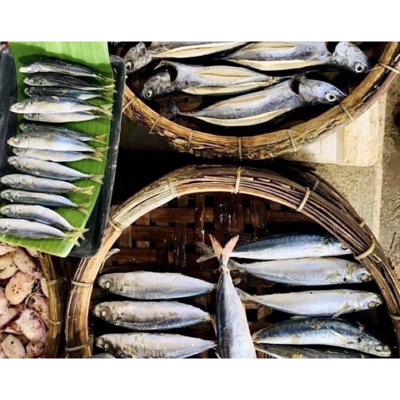 Cá nục trung hấp - 0.5kg