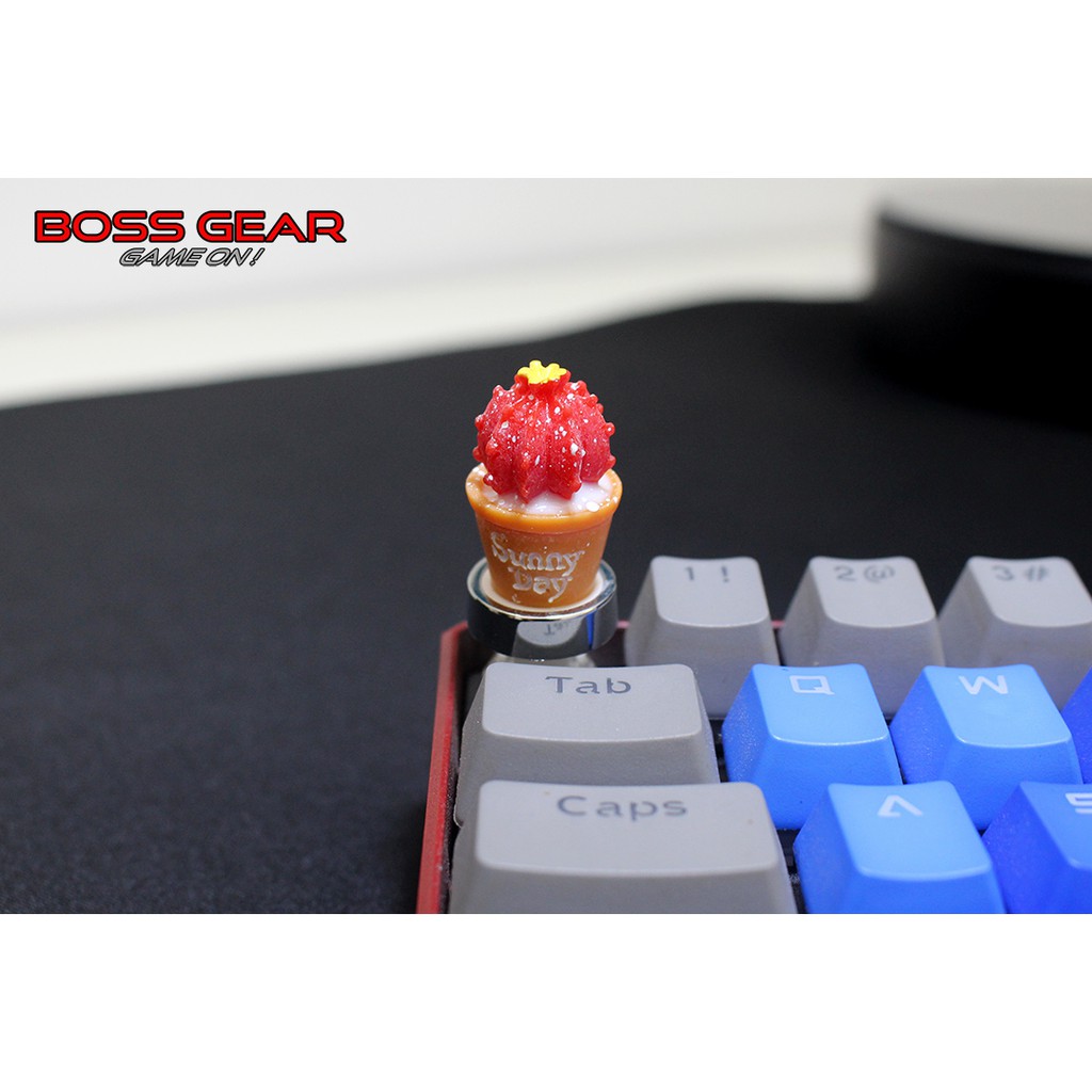 Keycap Lẻ xương rồng nhỏ cực cute ( keycap resin độc lạ )( Keycap Artisan )