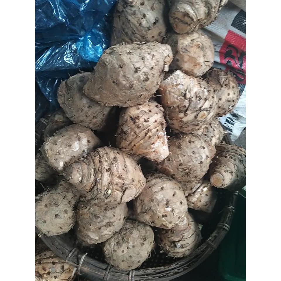 1kg Nghệ độc thân