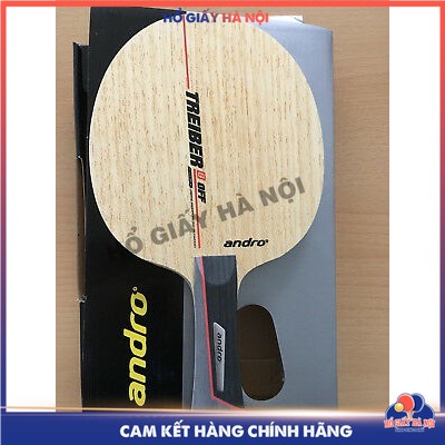 Cốt Vợt Bóng Bàn Andro Treiber G