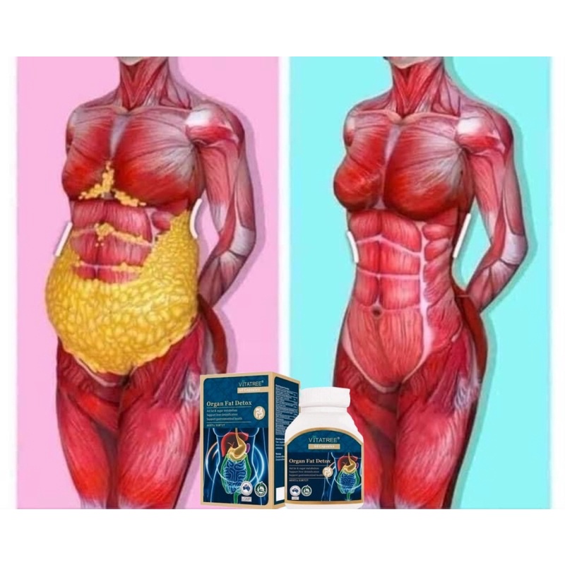 Viên uống giảm mỡ Vitatree organ fat detox