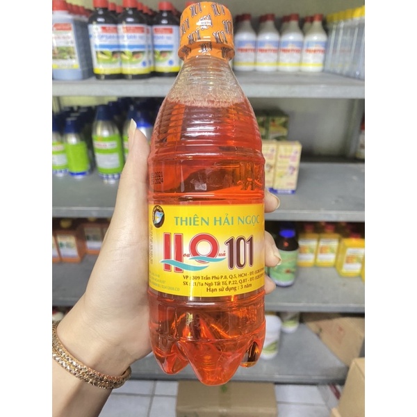 Thiên Hải Ngọc-HQ 101-Hoa Quả